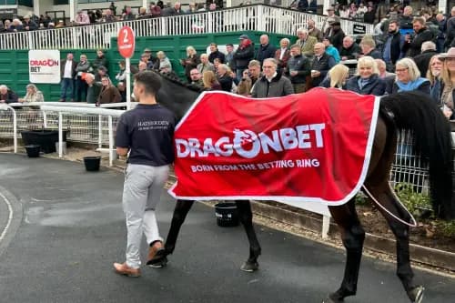 DragonBet invest in horse racing at all levels.