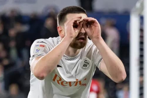 Swansea City striker Zan Vipotnik celebrates. Pic: Alamy